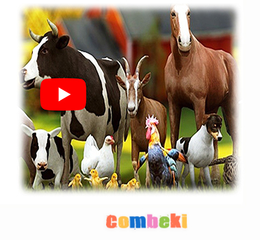 Hayvanları Sevelim - Çocuk Şarkısı - Şarkı Sözleri - Dinle - İndir Hayvanları Sevelim - Çocuk Şarkısı - Şarkı Sözleri - Dinle - İndir
