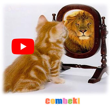 Kediler Hep Miyav Der - Çocuk Şarkısı - Şarkı Sözleri - Dinle - İndir Kediler Hep Miyav Der - Çocuk Şarkısı - Şarkı Sözleri - Dinle - İndir