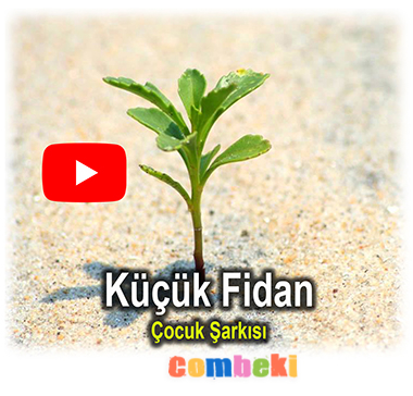 Küçük Fidan - Çocuk Şarkısı Küçük Fidan - Çocuk Şarkısı