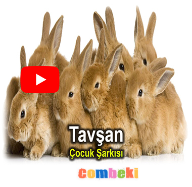 Sevimli Tavşan - Çocuk Şarkısı - Şarkı Sözleri - Dinle - İndir Sevimli Tavşan - Çocuk Şarkısı - Şarkı Sözleri - Dinle - İndir